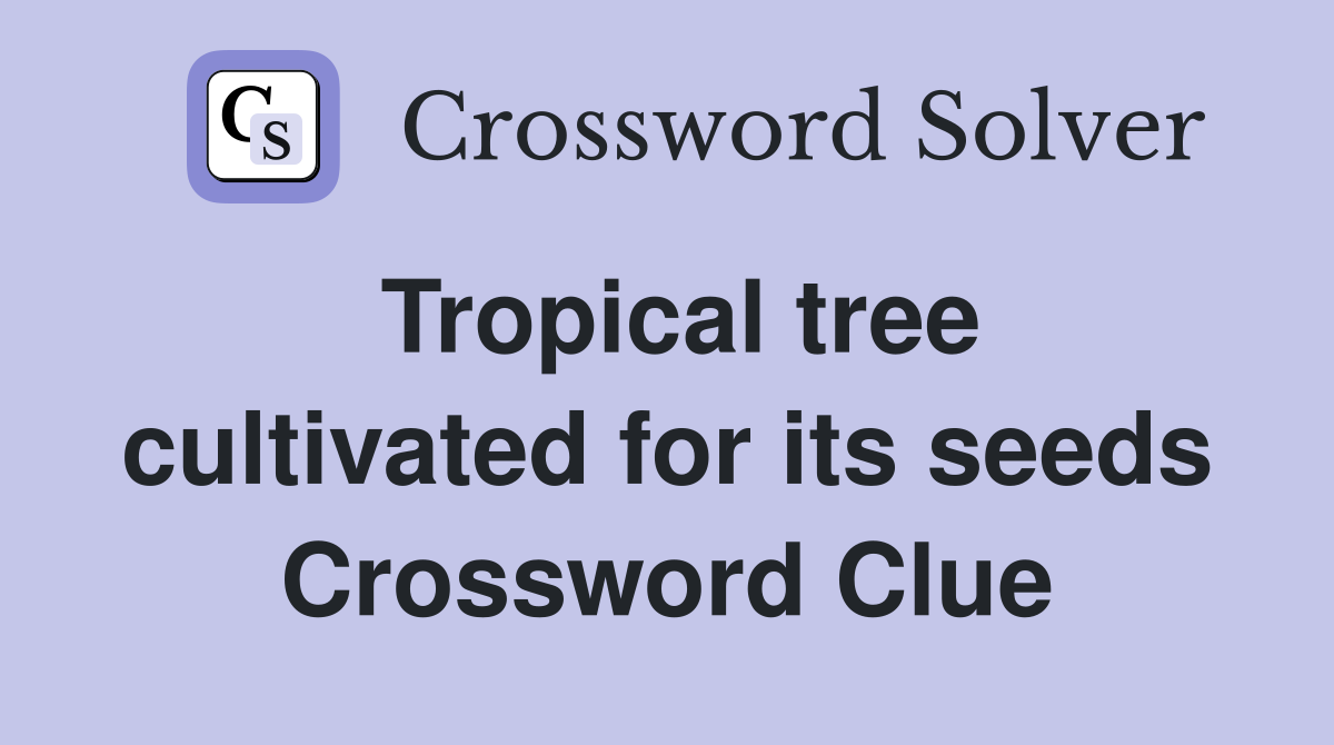 Tropical tree cultivated for its seeds Crossword Clue