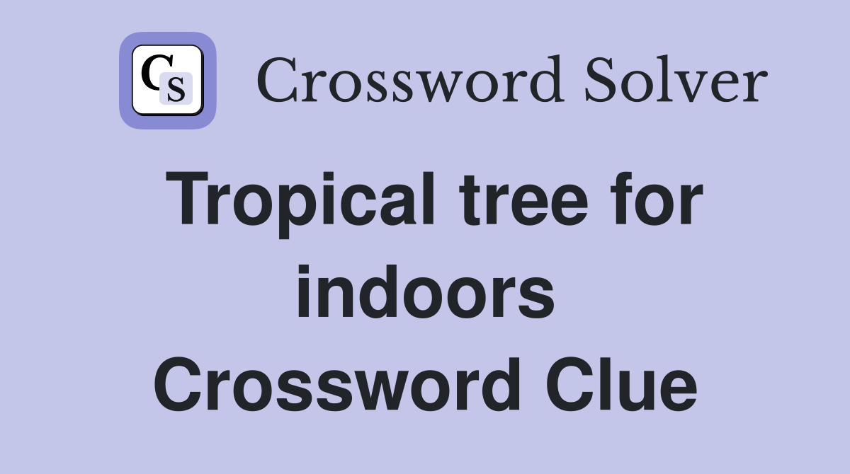 Tropical tree for indoors Crossword Clue