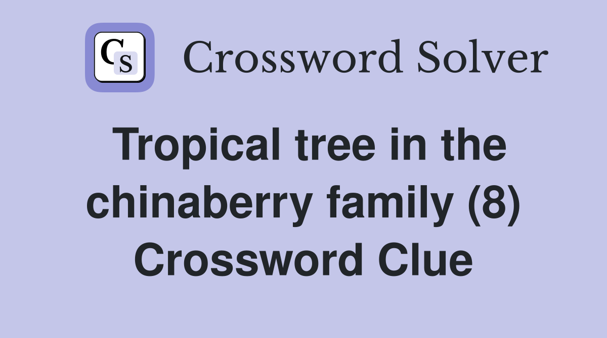 Tropical tree in the chinaberry family (8) Crossword Clue