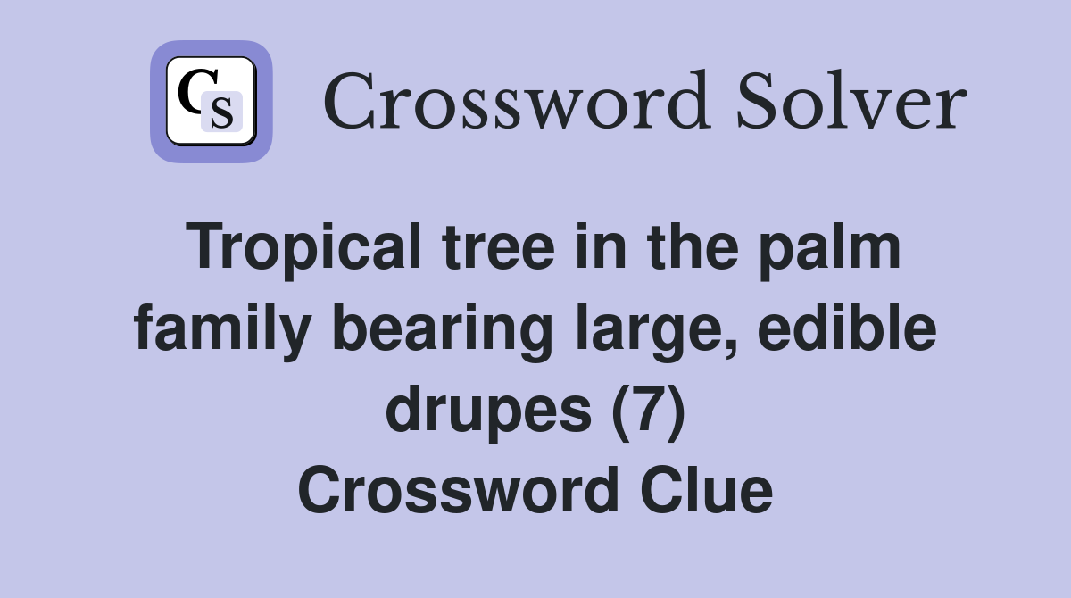 Tropical tree in the palm family bearing large, edible drupes (7) Crossword Clue