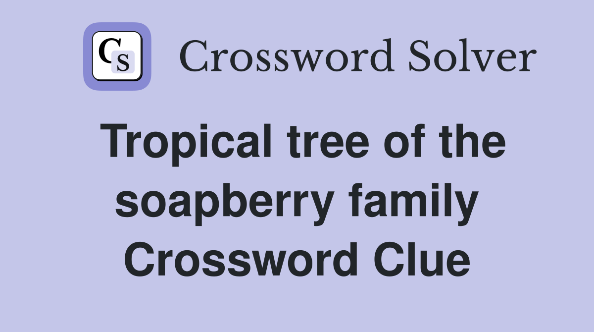 Tropical tree of the soapberry family Crossword Clue