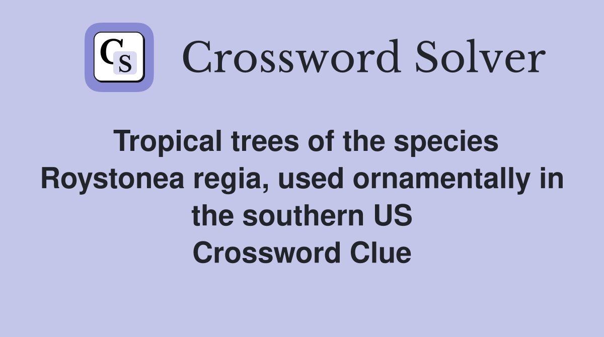 Tropical trees of the species Roystonea regia, used ornamentally in the southern US Crossword Clue