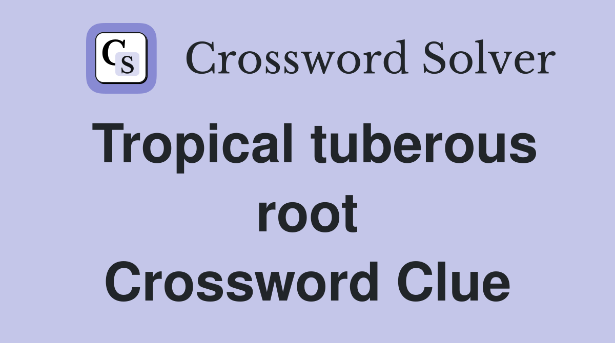 Tropical tuberous root Crossword Clue