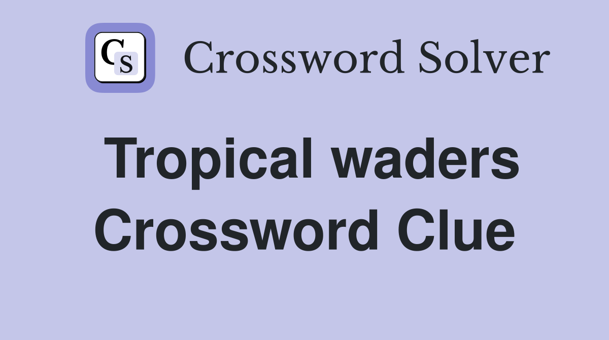 Tropical waders Crossword Clue