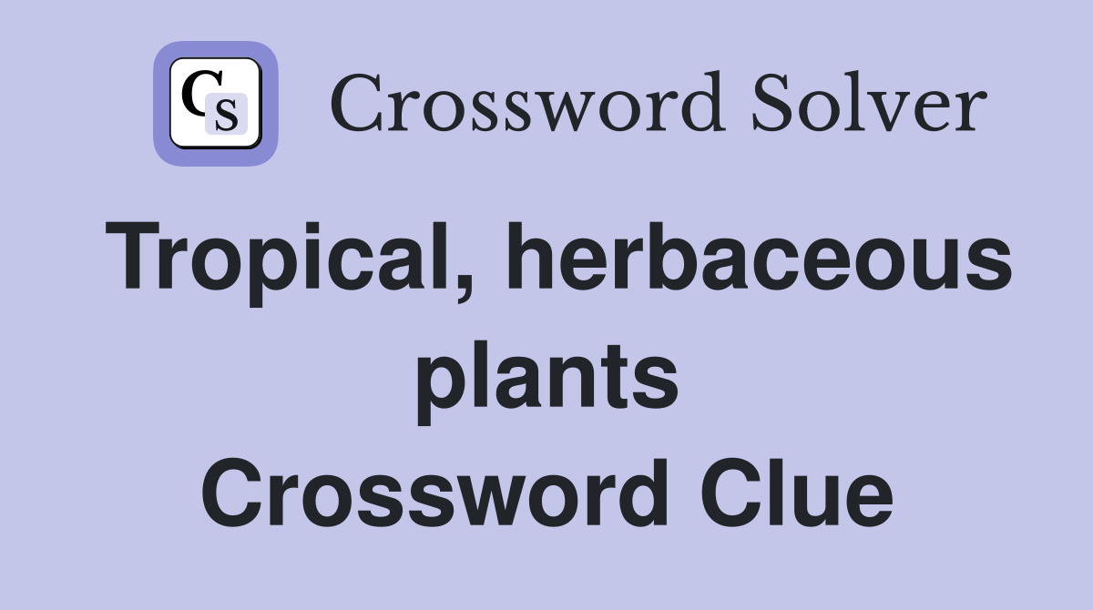 Tropical, herbaceous plants Crossword Clue