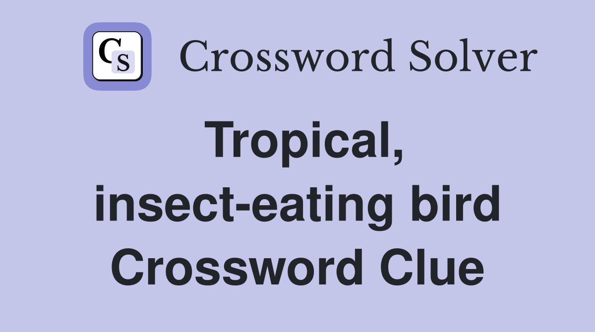 Tropical, insect-eating bird Crossword Clue