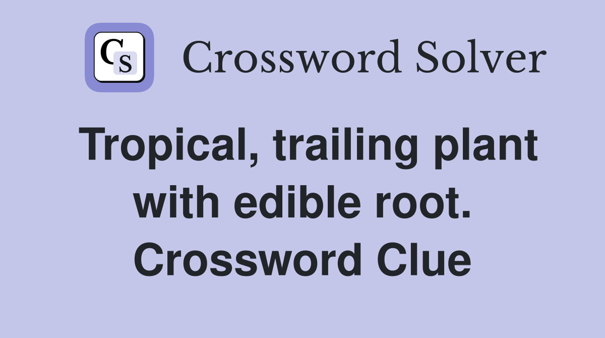 Tropical, trailing plant with edible root. Crossword Clue