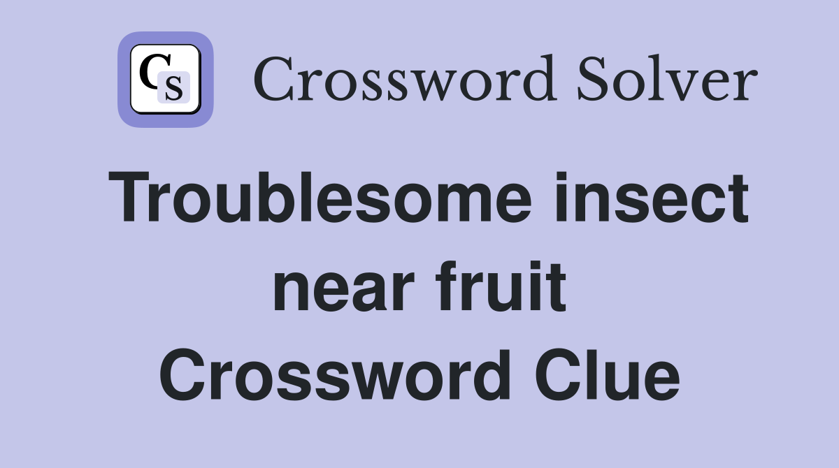 Troublesome insect near fruit Crossword Clue