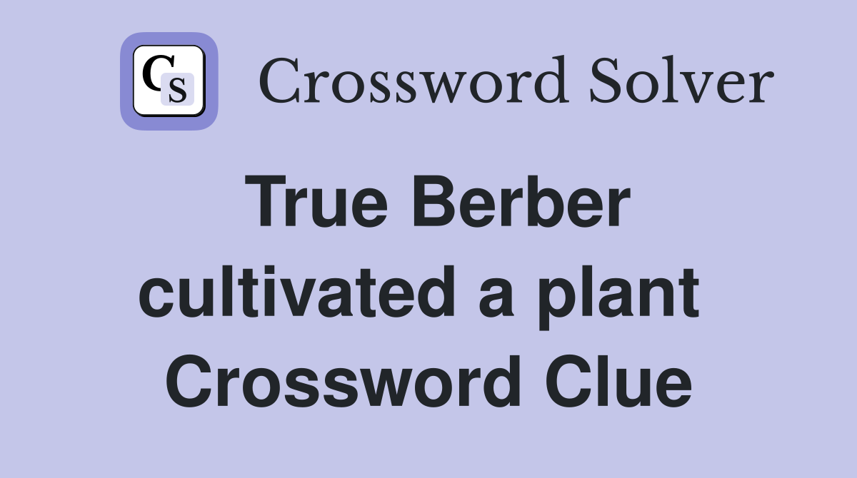 True Berber cultivated a plant  Crossword Clue