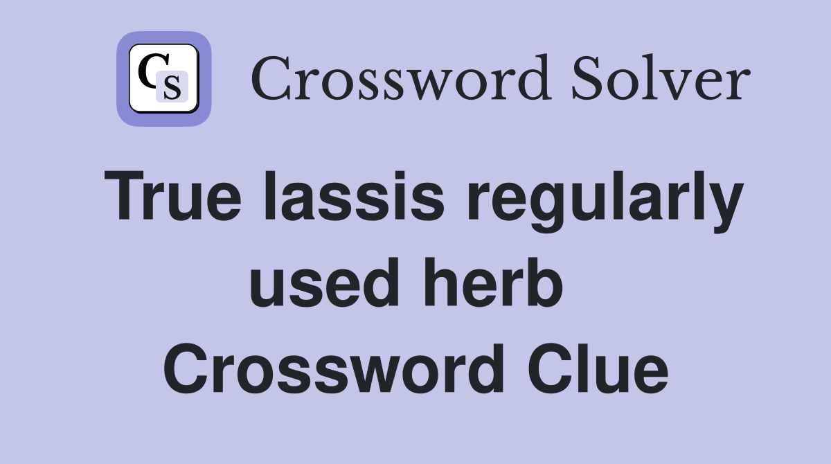 True lassis regularly used herb  Crossword Clue