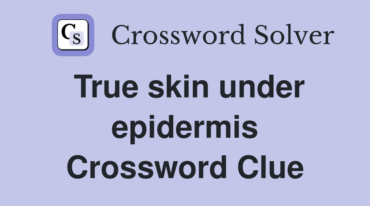 True skin under epidermis Crossword Clue
