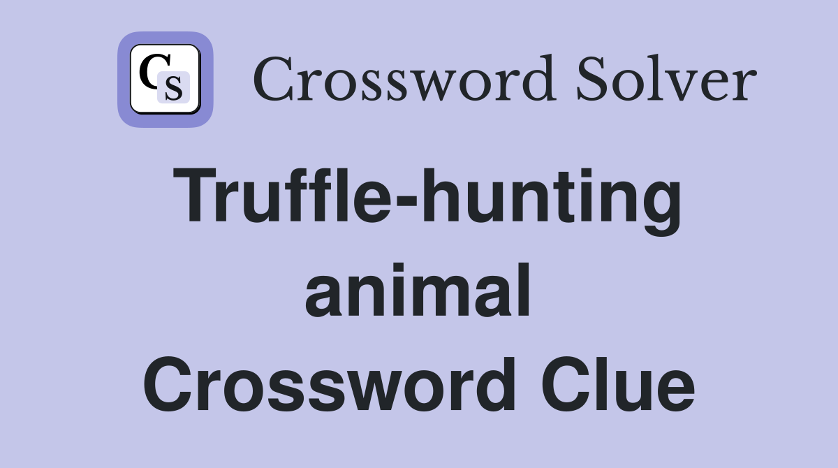 Truffle-hunting animal Crossword Clue