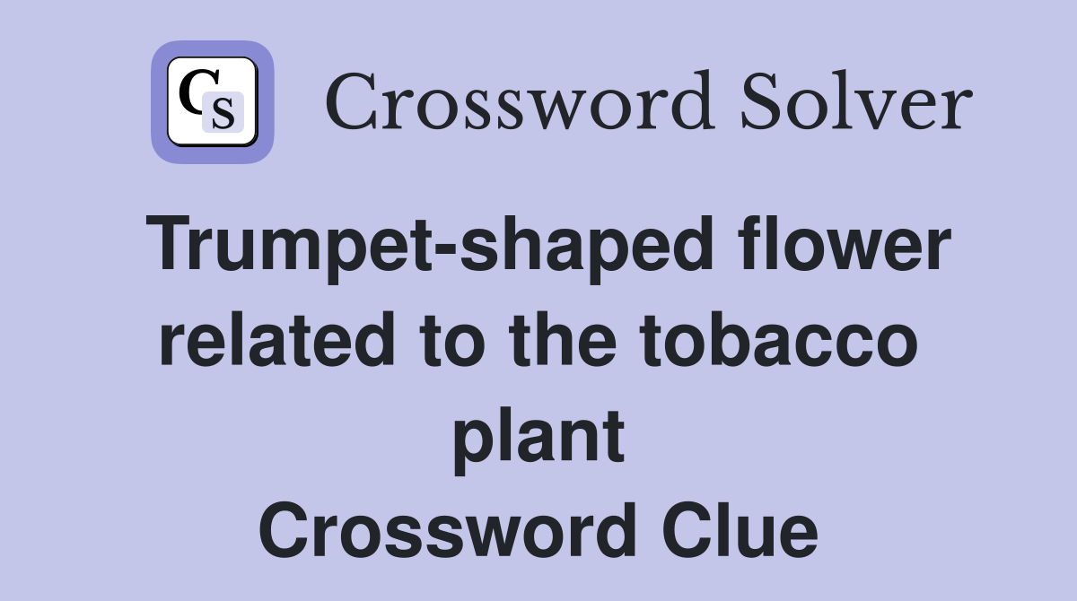 Trumpet-shaped flower related to the tobacco plant Crossword Clue