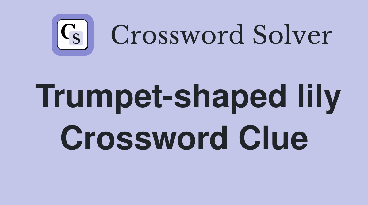 Trumpet-shaped lily Crossword Clue