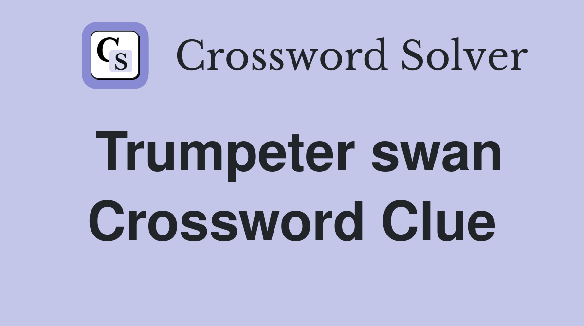 Trumpeter swan Crossword Clue