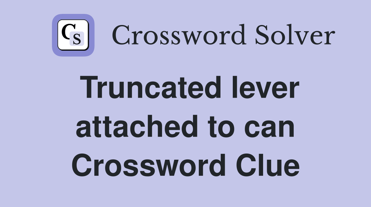 Truncated lever attached to can Crossword Clue
