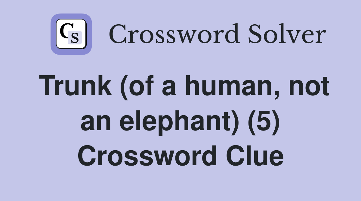 Trunk (of a human, not an elephant) (5) Crossword Clue