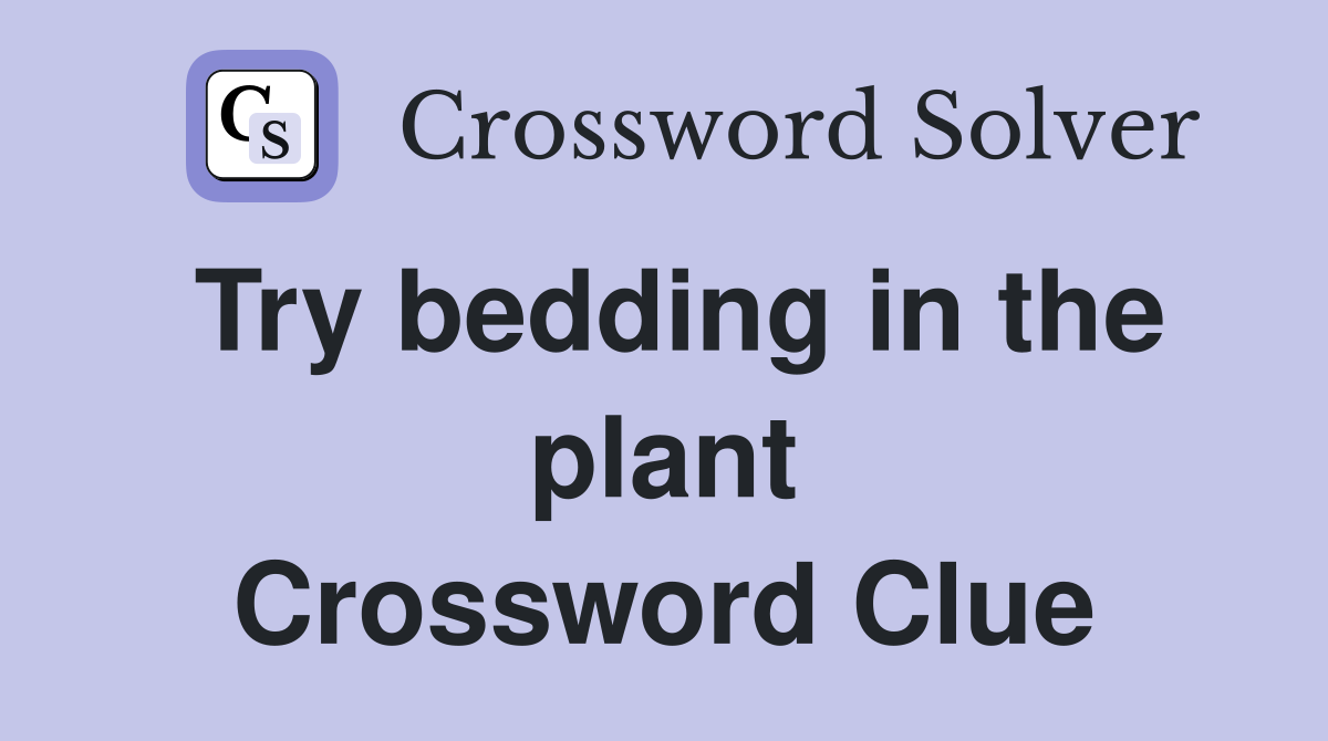 Try bedding in the plant Crossword Clue