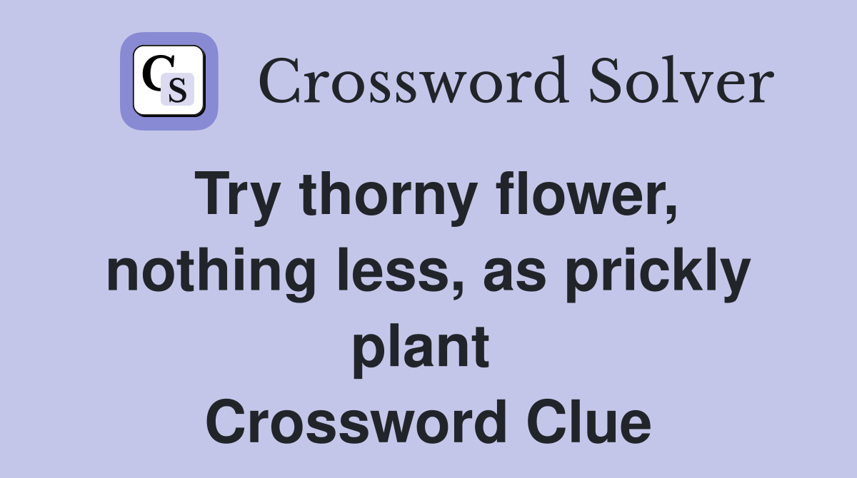 Try thorny flower, nothing less, as prickly plant  Crossword Clue