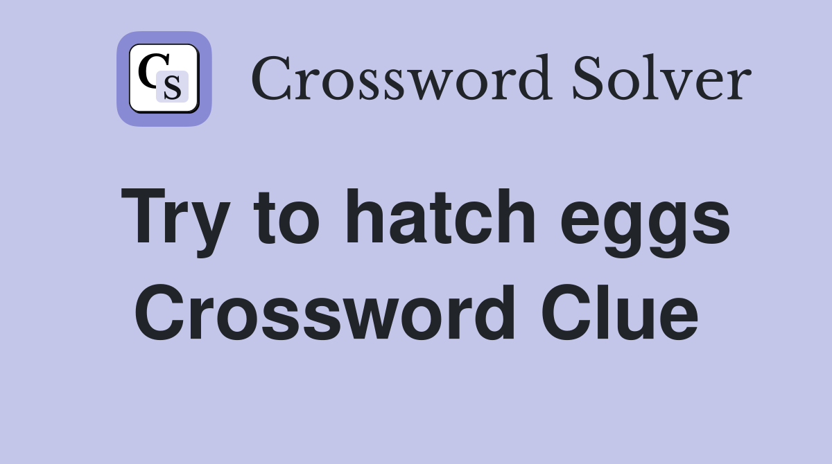 Try to hatch eggs Crossword Clue