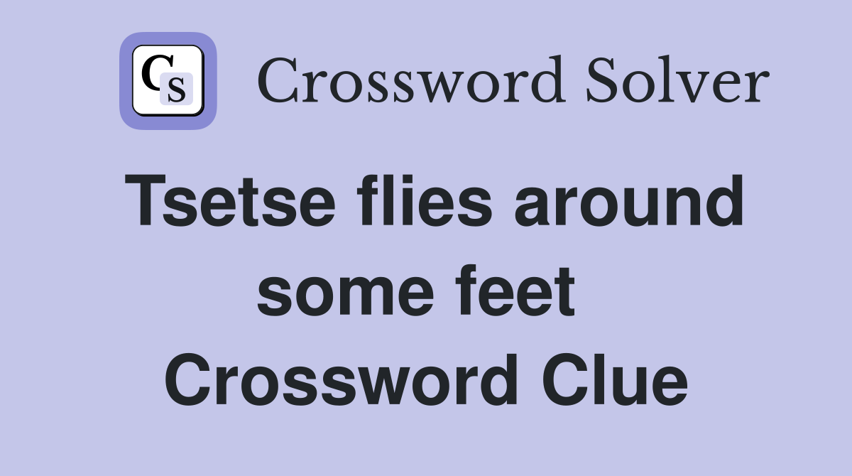 Tsetse flies around some feet  Crossword Clue