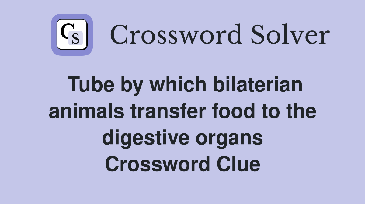 Tube by which bilaterian animals transfer food to the digestive organs Crossword Clue