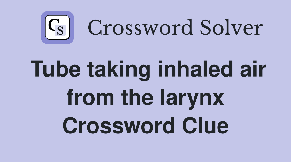 Tube taking inhaled air from the larynx Crossword Clue