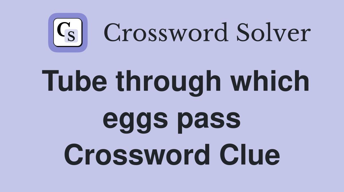 Tube through which eggs pass Crossword Clue
