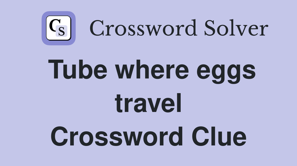Tube where eggs travel Crossword Clue