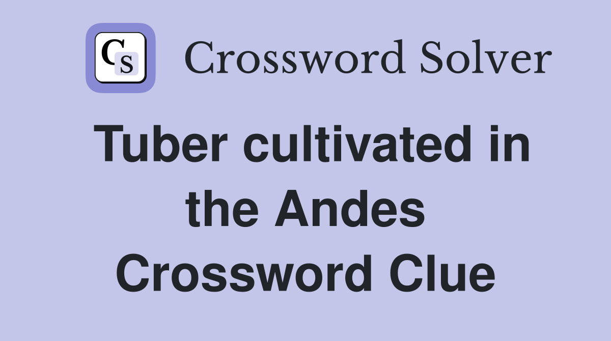 Tuber cultivated in the Andes Crossword Clue