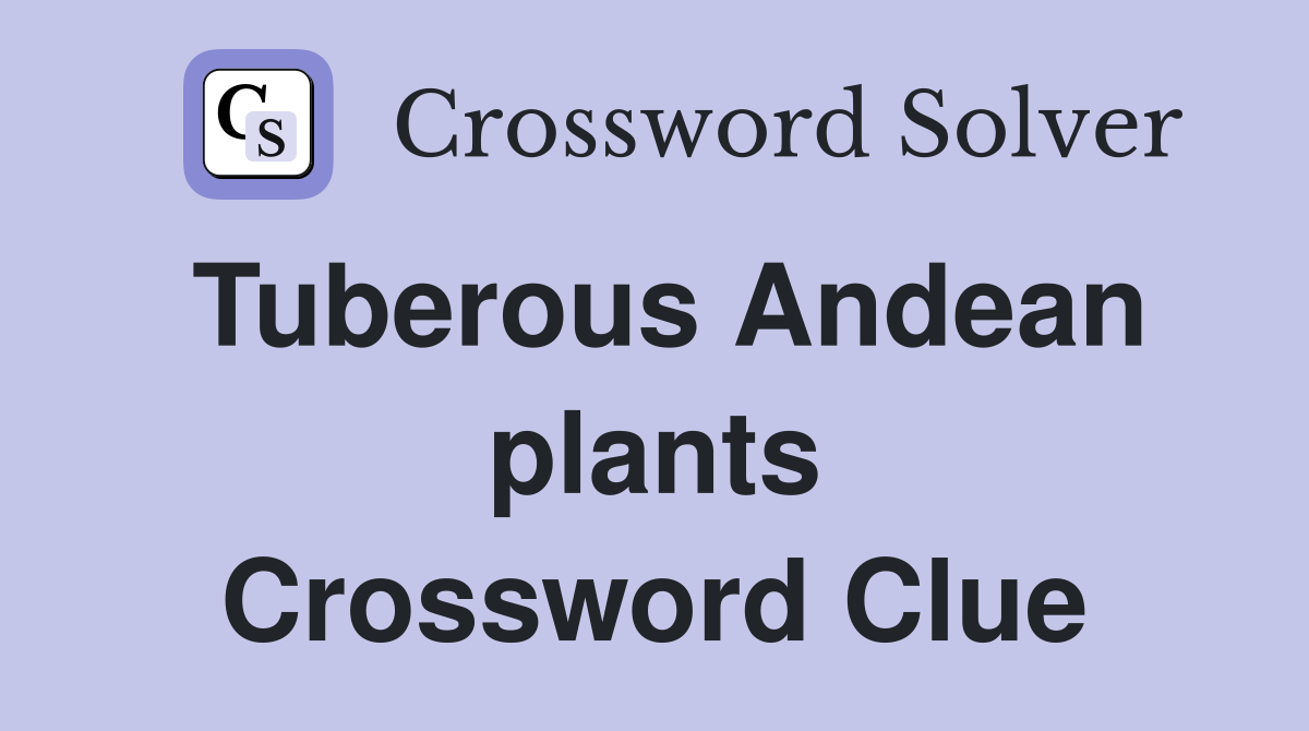 Tuberous Andean plants Crossword Clue