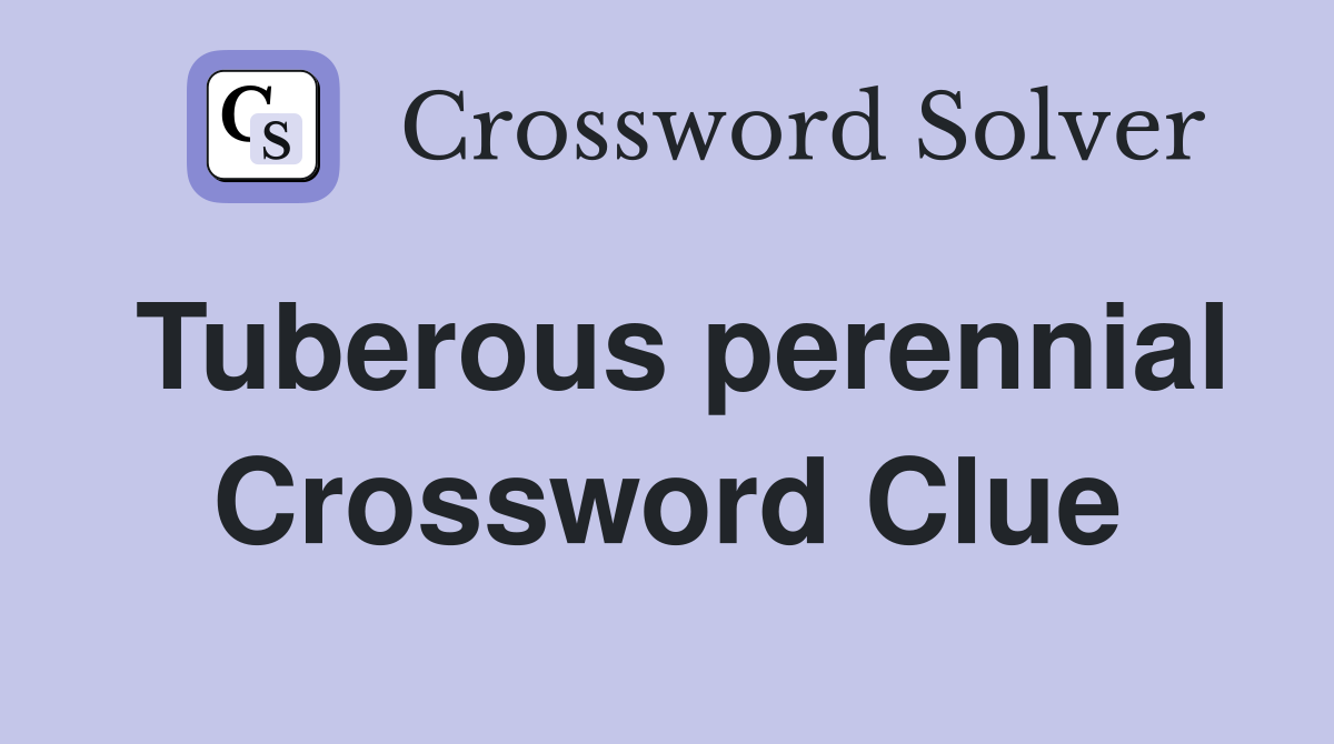 Tuberous perennial Crossword Clue