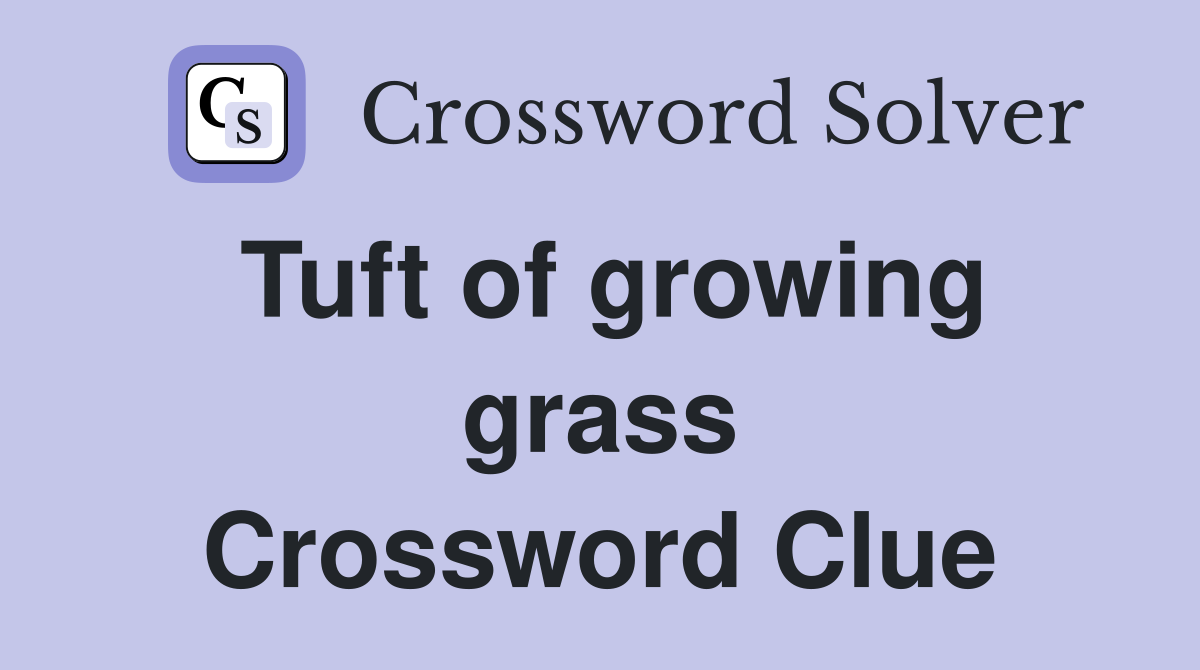 Tuft of growing grass Crossword Clue
