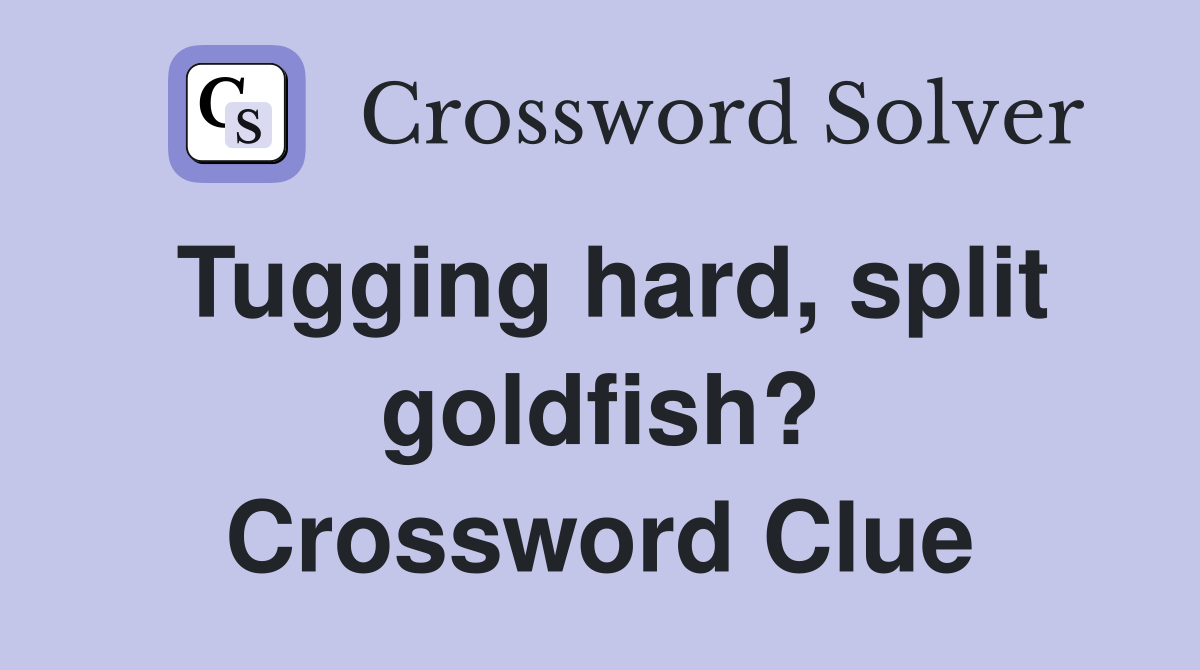 Tugging hard, split goldfish? Crossword Clue