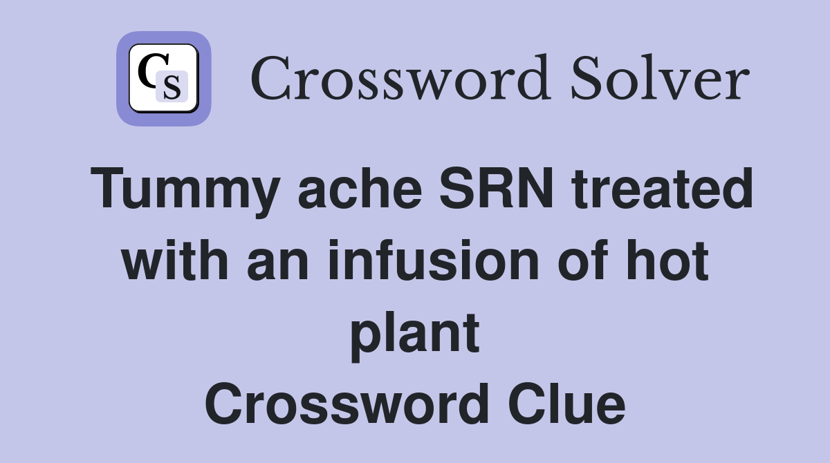 Tummy ache SRN treated with an infusion of hot plant Crossword Clue