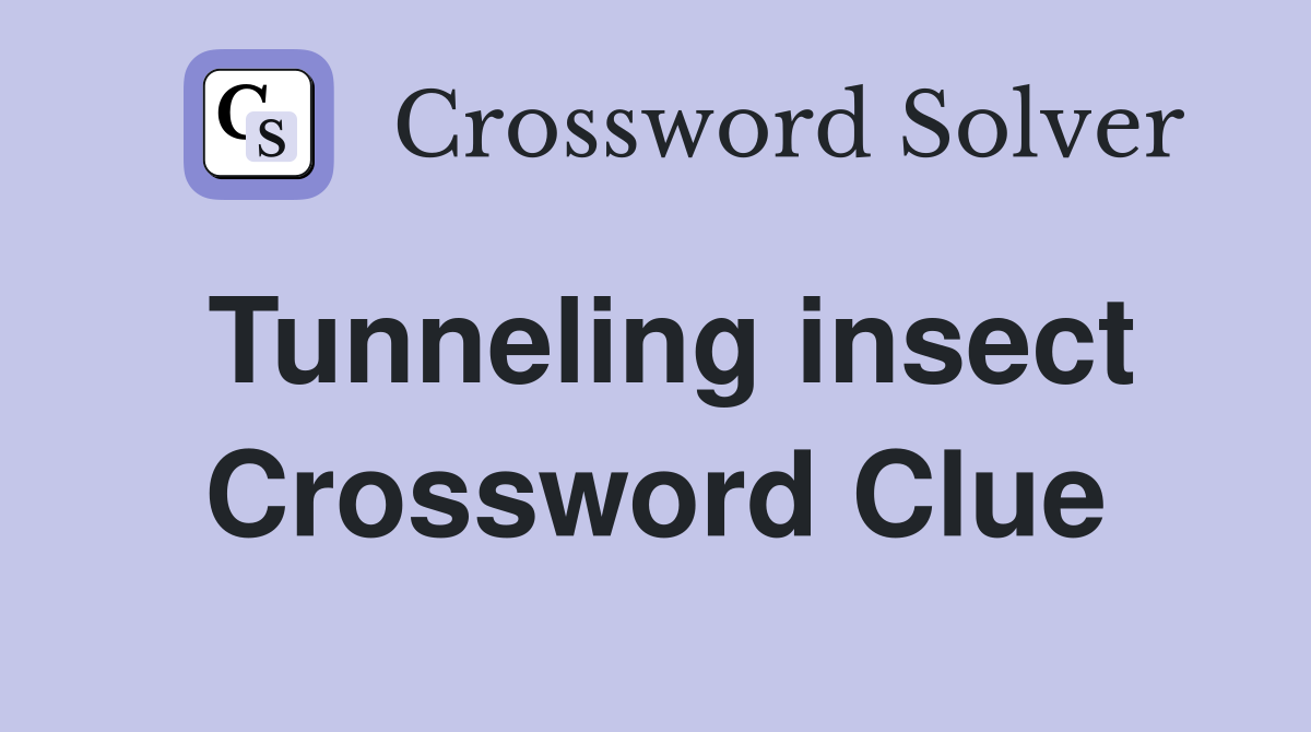 Tunneling insect Crossword Clue