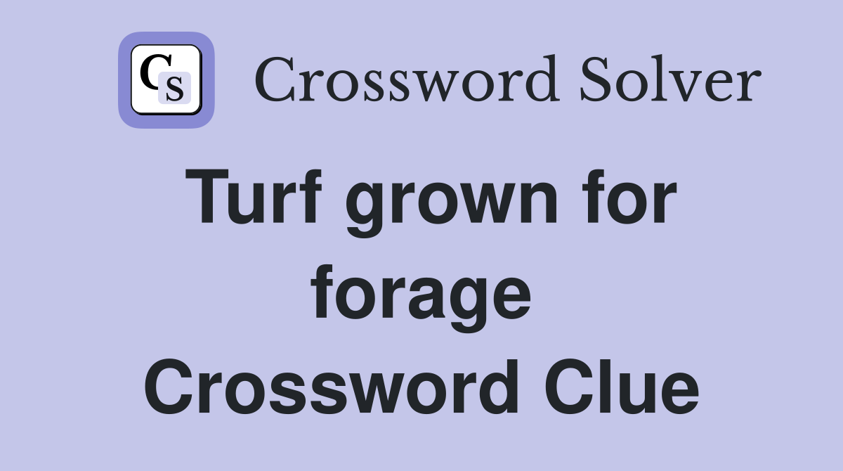Turf grown for forage Crossword Clue