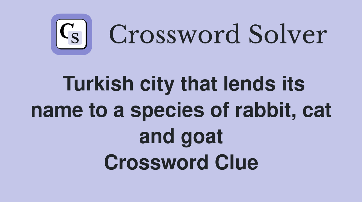 Turkish city that lends its name to a species of rabbit, cat and goat Crossword Clue