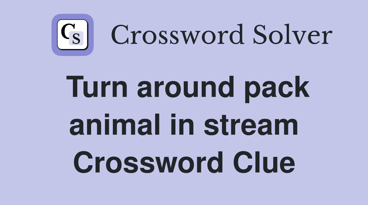 Turn around pack animal in stream Crossword Clue