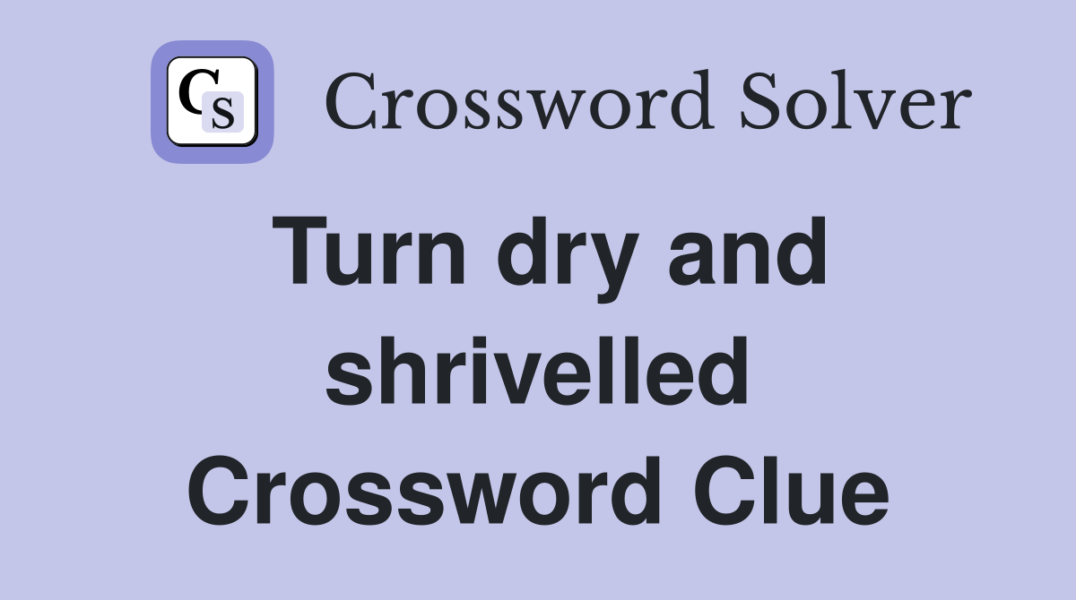 Turn dry and shrivelled Crossword Clue