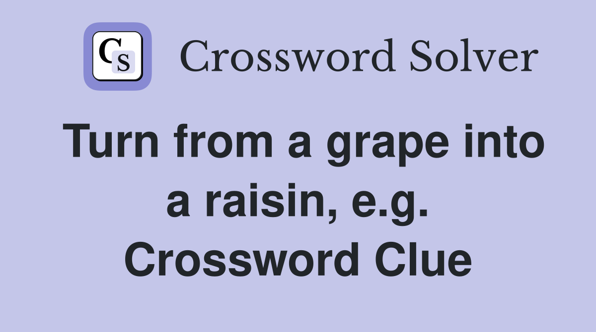 Turn from a grape into a raisin, e.g. Crossword Clue