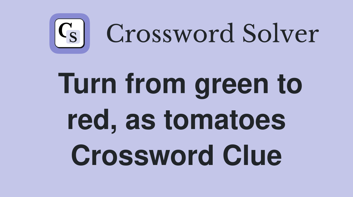 Turn from green to red, as tomatoes Crossword Clue