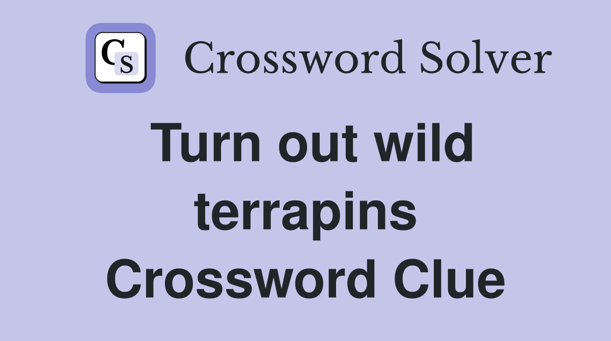 Turn out wild terrapins Crossword Clue