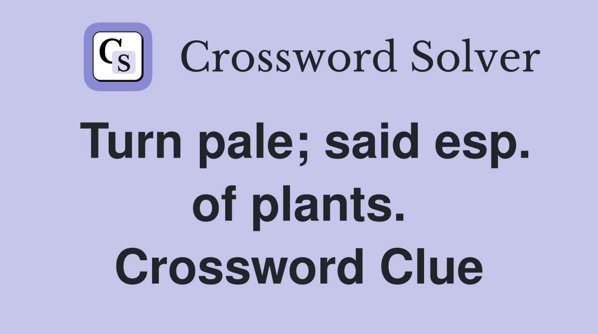 Turn pale; said esp. of plants. Crossword Clue