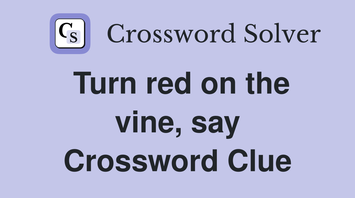 Turn red on the vine, say Crossword Clue