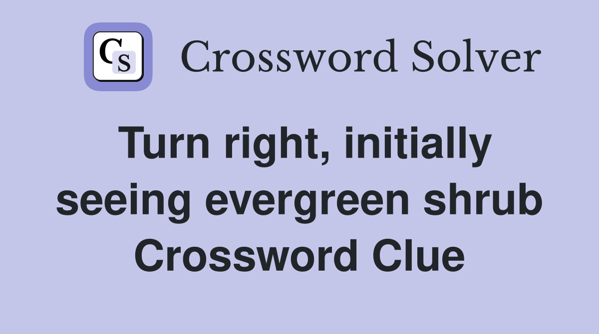 Turn right, initially seeing evergreen shrub Crossword Clue