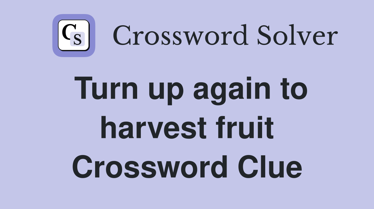 Turn up again to harvest fruit Crossword Clue