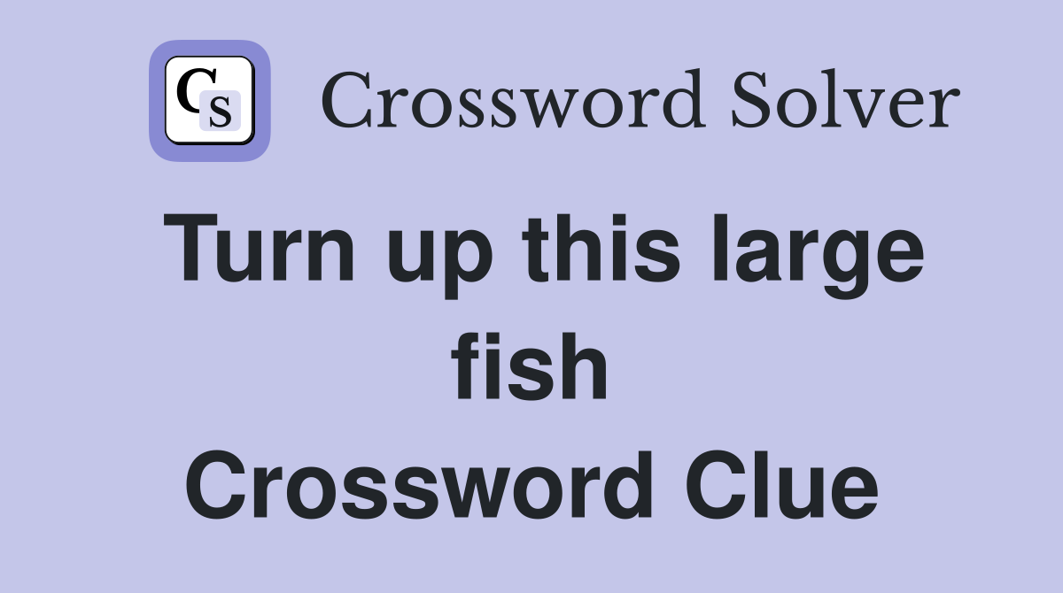 Turn up this large fish Crossword Clue