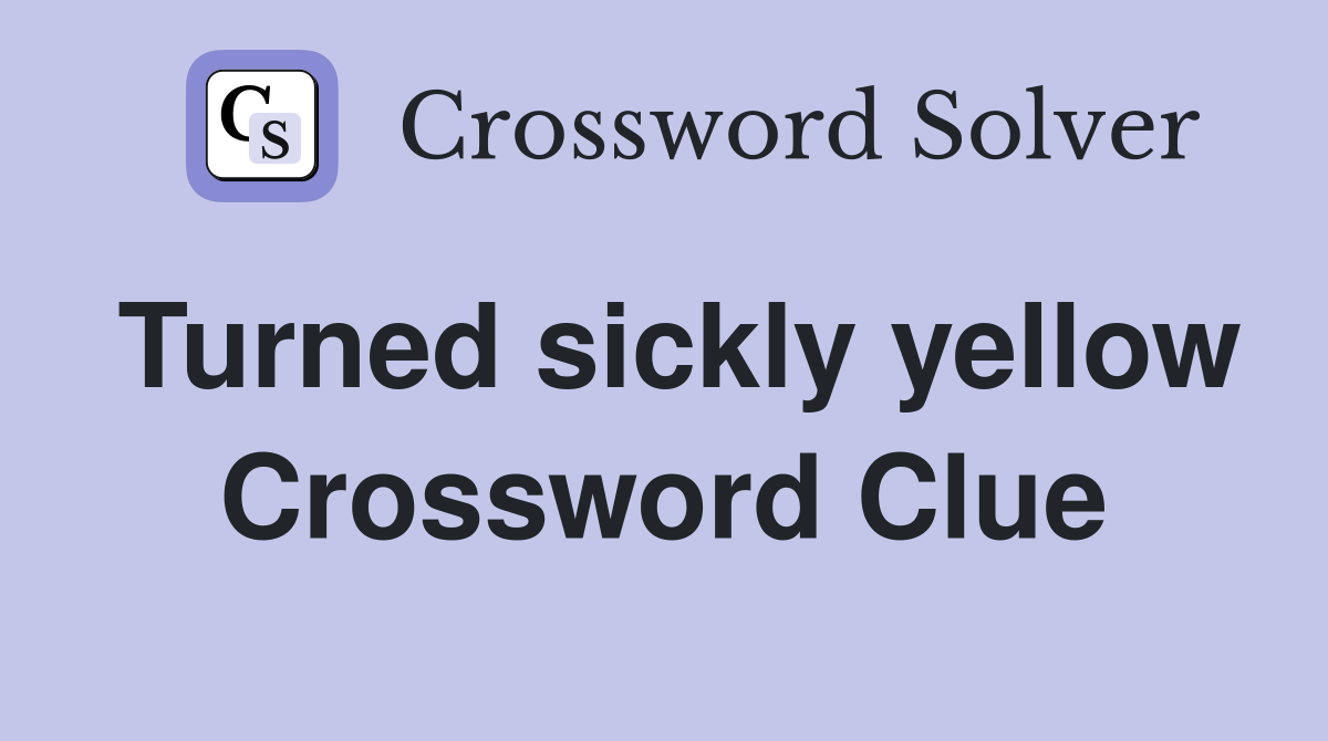 Turned sickly yellow Crossword Clue