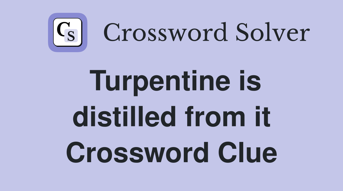 Turpentine is distilled from it Crossword Clue